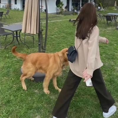 大胆吓死贼